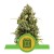 Royal Queen Seeds Diesel Automatic